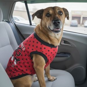 Camiseta para perro rockera The Beatles
